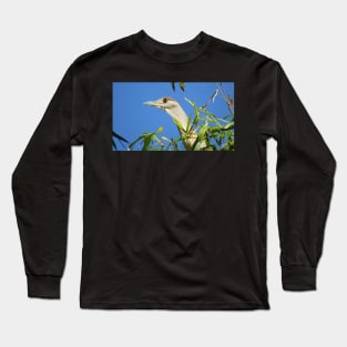 Black-crowned Night-Heron Long Sleeve T-Shirt